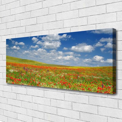 Canvas Kunstdruck Wiese Blumen Landschaft