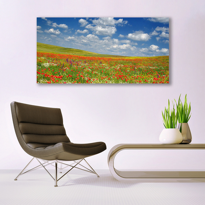 Canvas Kunstdruck Wiese Blumen Landschaft