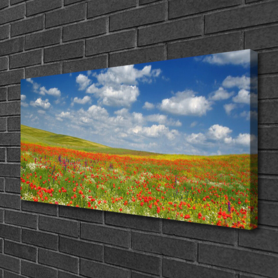 Canvas Kunstdruck Wiese Blumen Landschaft