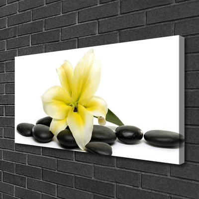 Canvas Kunstdruck Blume Steine Kunst