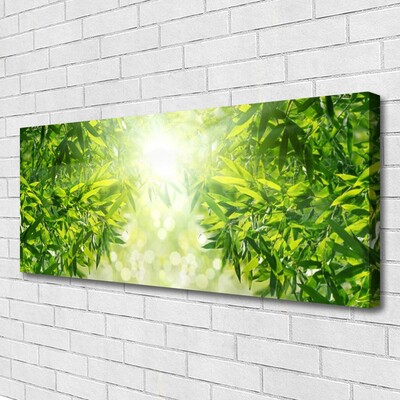 Canvas Kunstdruck Blätter Natur