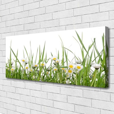 Canvas Kunstdruck Gras Gänseblümchen Natur