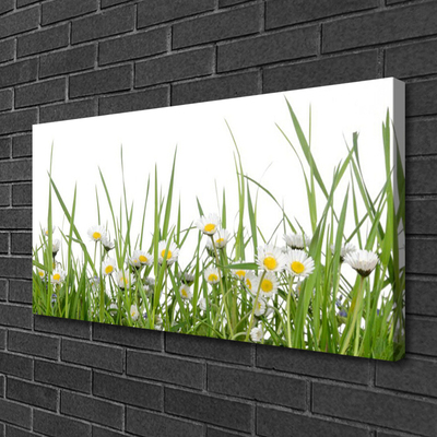 Canvas Kunstdruck Gras Gänseblümchen Natur