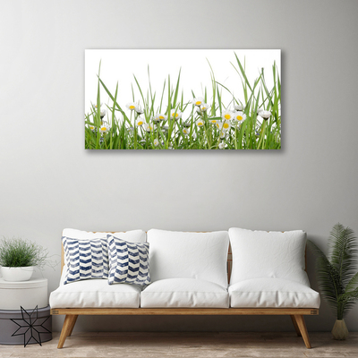 Canvas Kunstdruck Gras Gänseblümchen Natur