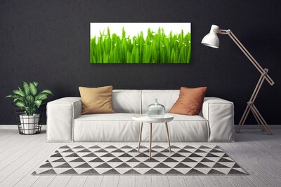 Canvas Kunstdruck Gras Natur