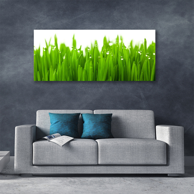 Canvas Kunstdruck Gras Natur