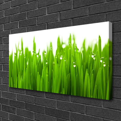 Canvas Kunstdruck Gras Natur