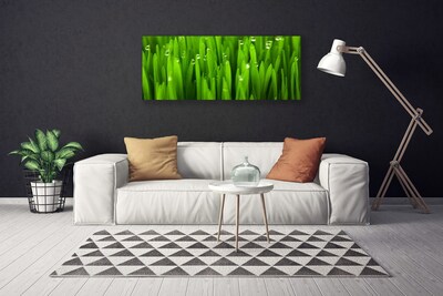 Canvas Kunstdruck Gras Natur