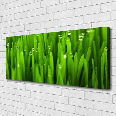 Canvas Kunstdruck Gras Natur