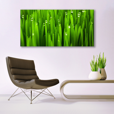 Canvas Kunstdruck Gras Natur