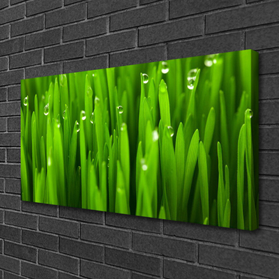 Canvas Kunstdruck Gras Natur