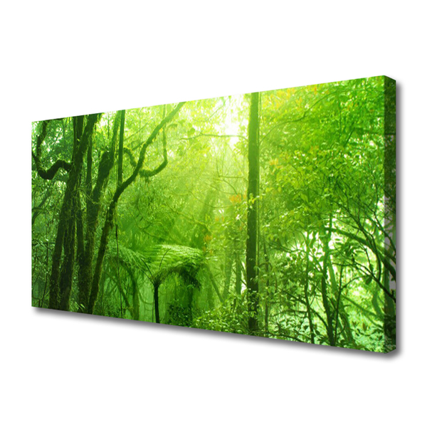 Canvas Kunstdruck Bäume Natur