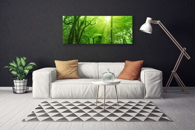 Canvas Kunstdruck Bäume Natur