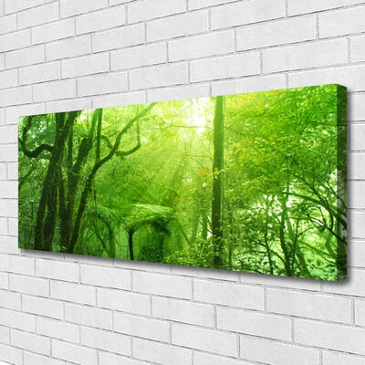 Canvas Kunstdruck Bäume Natur