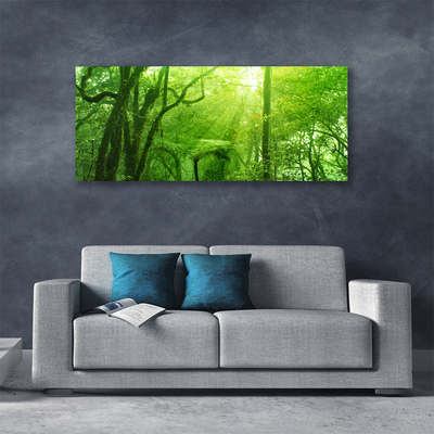 Canvas Kunstdruck Bäume Natur