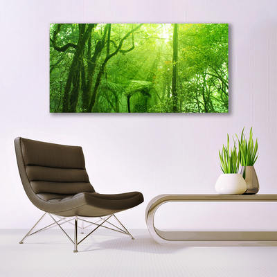 Canvas Kunstdruck Bäume Natur