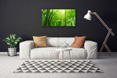 Canvas Kunstdruck Bäume Natur