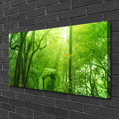 Canvas Kunstdruck Bäume Natur