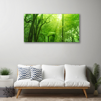 Canvas Kunstdruck Bäume Natur