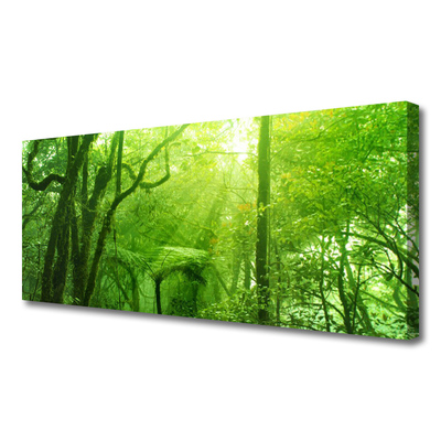 Canvas Kunstdruck Bäume Natur