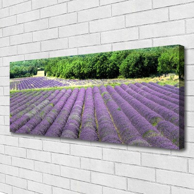 Canvas Kunstdruck Wiese Blumen Natur