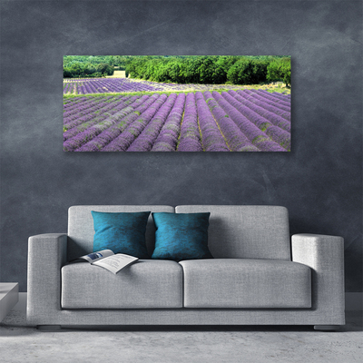 Canvas Kunstdruck Wiese Blumen Natur