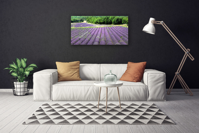 Canvas Kunstdruck Wiese Blumen Natur