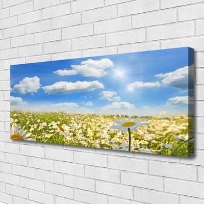 Canvas Kunstdruck Wiese Gänseblümchen Natur