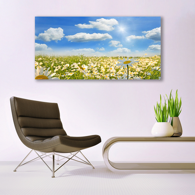 Canvas Kunstdruck Wiese Gänseblümchen Natur