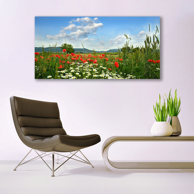 Leinwand-Bilder Wiese Blumen Natur