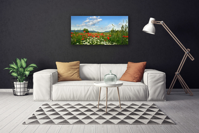 Leinwand-Bilder Wiese Blumen Natur