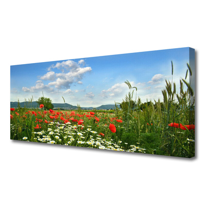 Leinwand-Bilder Wiese Blumen Natur