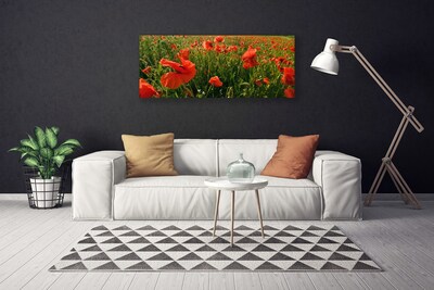 Leinwand-Bilder Mohnblumen Natur