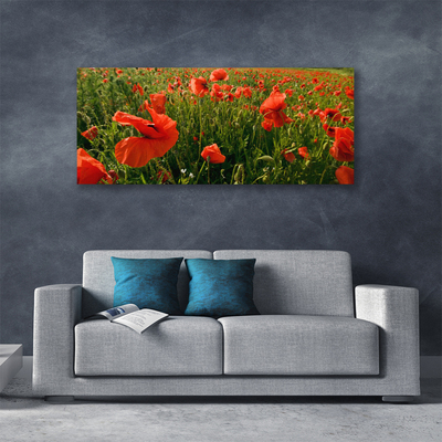 Leinwand-Bilder Mohnblumen Natur