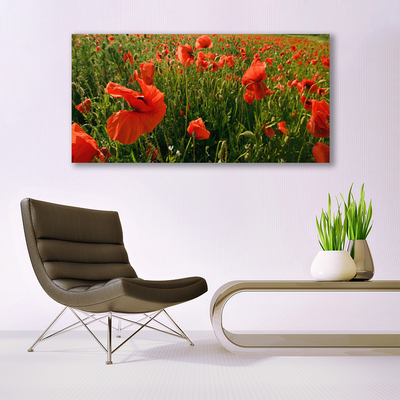 Leinwand-Bilder Mohnblumen Natur