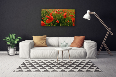 Leinwand-Bilder Mohnblumen Natur