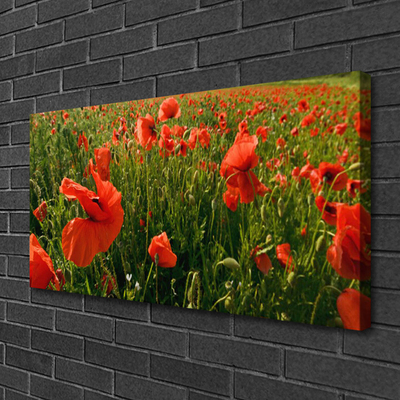 Leinwand-Bilder Mohnblumen Natur