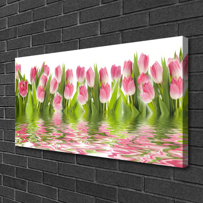 Leinwand-Bilder Tulpen Pflanzen