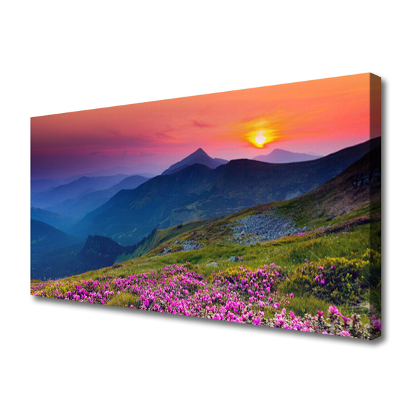 Leinwand-Bilder Gebirge Wiese Blumen Landschaft