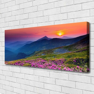 Leinwand-Bilder Gebirge Wiese Blumen Landschaft