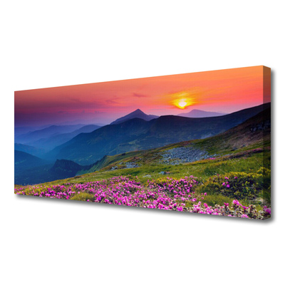 Leinwand-Bilder Gebirge Wiese Blumen Landschaft