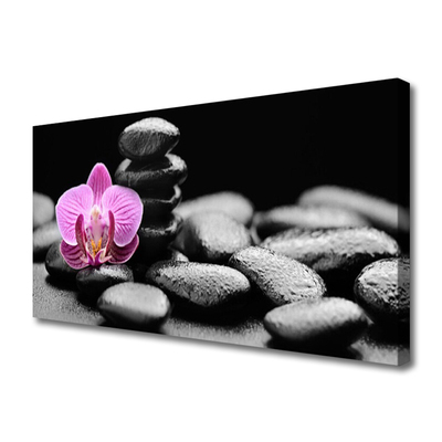 Leinwand-Bilder Blume Steine Kunst