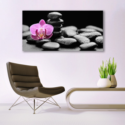 Leinwand-Bilder Blume Steine Kunst