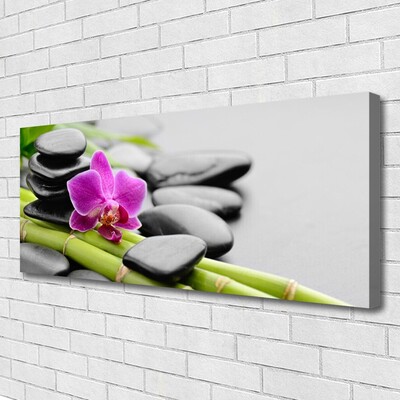 Leinwand-Bilder Bambusrohre Blume Steine Kunst