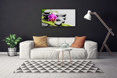 Leinwand-Bilder Bambusrohre Blume Steine Kunst