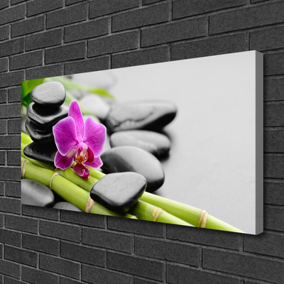 Leinwand-Bilder Bambusrohre Blume Steine Kunst