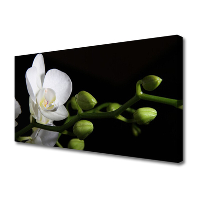 Leinwand-Bilder Blume Pflanzen