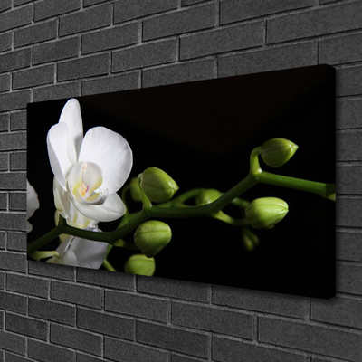 Leinwand-Bilder Blume Pflanzen