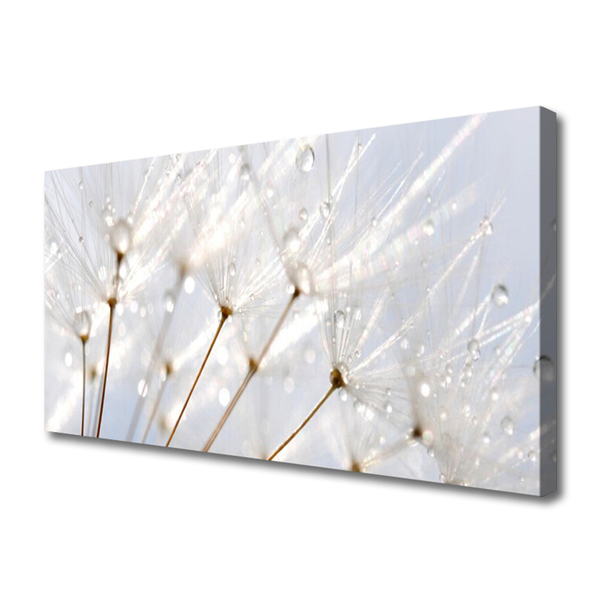 Wandbilder Glasbilder Druck auf Glas 140x70 Pusteblume Pflanzen 