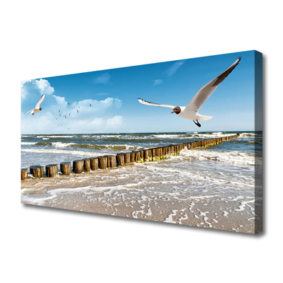 Leinwand-Bilder Möwen Meer Landschaft